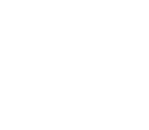 icufestival2025